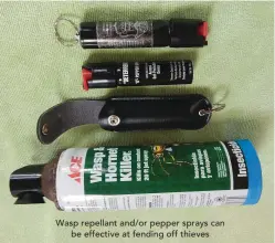  ??  ?? Wasp repellant and/or pepper sprays can
be effective at fending off thieves