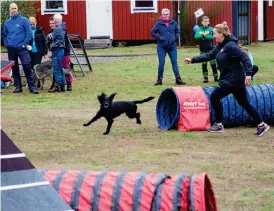  ?? Bild: JONATAN GERNES ?? HINDERBANA. Hunden Iris bjöd på en fartfylld agility-uppvisning.