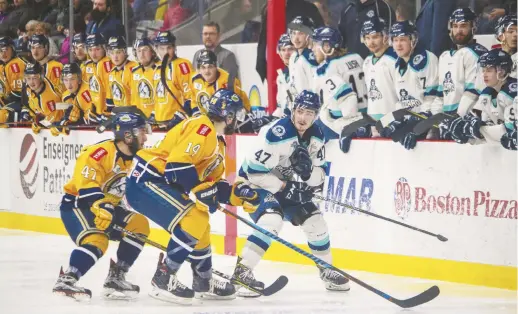  ??  ?? Le troisième match de la série finale entre le Blizzard d’Edmundston et les Mariners de Yarmouth a donné droit à du jeu très serré encore une fois. - Collaborat­ion spéciale: Olivier Chiasson