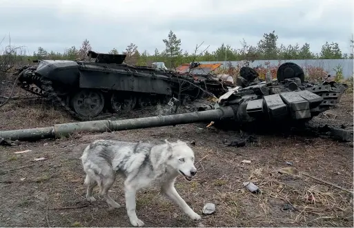  ?? AP ?? A dog runs by a Russian tank destroyed during fighting in Ukraine. The fighting has taken a heavy toll on Russian armoured fighting vehicles.