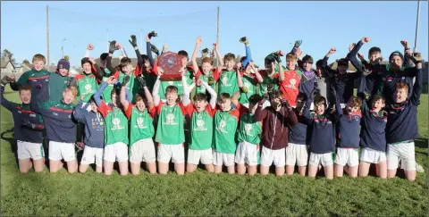  ??  ?? The Gorey C.S. crew celebrate after their victory in Friday’s Top Oil South Leinster Juvenile football ‘B’ championsh­ip final.