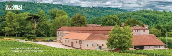  ??  ?? Les vignes et les chais du château Les Buysses à Luzerch, près de Cahors.