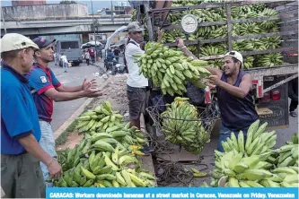  ??  ?? CARACAS: Workers downloads bananas at a street market in Caracas, Venezuela on Friday. Venezuelan state oil company PDVSA began making a major bond payment easing short-term worries. —AP