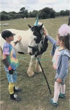  ??  ?? The horses are always able to choose what they want to do and what they don’t.