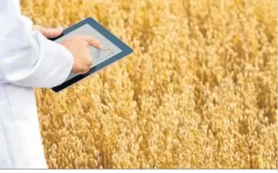  ??  ?? La digitaliza­ción del agro andaluz es ya una realidad para muchas empresas del sector.