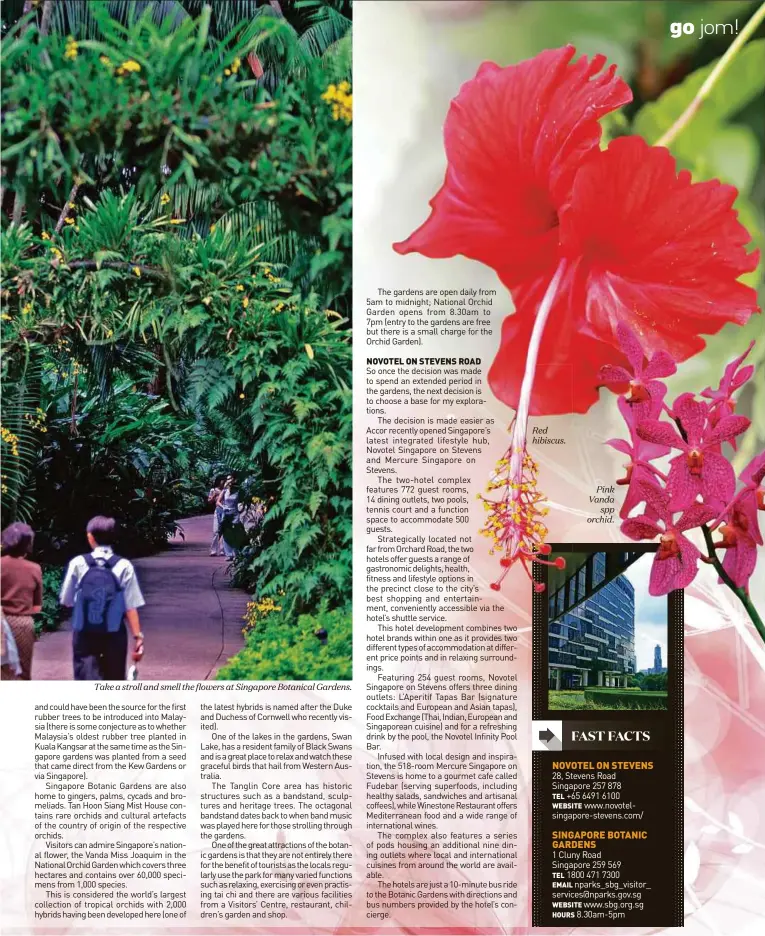  ??  ?? Take a stroll and smell the flowers at Singapore Botanical Gardens. Red hibiscus. Pink Vanda spp orchid.