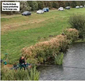  ??  ?? The North Bank repays prebaiting for its large carp.