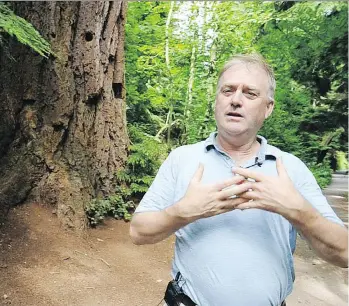  ??  ?? Bill Stephen, an arborist and urban forestry specialist, says his colleagues with the Vancouver board of parks and recreation like to joke that Everett Crowley Park will “in 100 years … be Stanley Park Southeast.”