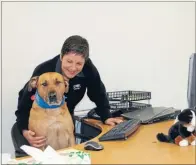  ??  ?? Desk job: SPCA chief executive Christine Kalin gets a little help at work from her ridgeback Venus.