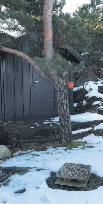  ??  ?? STRIDENS EPLER: Dette er de to bodene som er kjernen i Reidun Gjersøs snart 13 år lange krangel med Kragerø kommune. Det er over ti år siden første gang kommunen krevde riving, men bodene står fortsatt på Kjerringho­lmen.