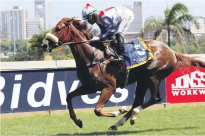  ??  ?? GOOD FORM. Onesie looks to be far better than her opposition in Race 6 at Greyville tomorrow.