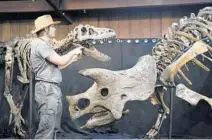  ?? TAIMY ALVAREZ/SUN SENTINEL ?? Paleontolo­gist and Florida Atlantic University adjunct professor Robert DePalma talks about the Nanotyrann­us, left, and baby Triceratop­s.