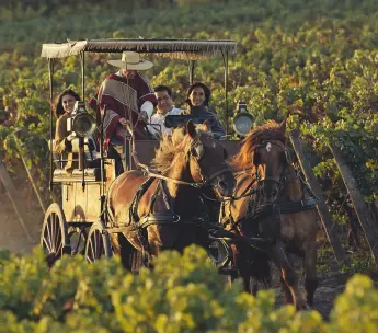  ??  ?? Right: tourists enjoying a horse carriage ride around the vineyards at Viu Manent