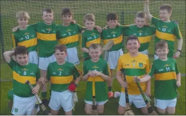  ?? ?? The Castlelyon­s U10 team that qualified for the semi-final of the Ballyduff Blitz.