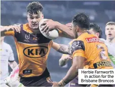  ??  ?? Herbie Farnworth in action for the Brisbane Broncos