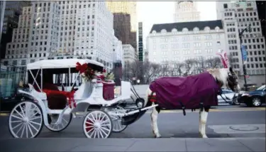  ?? AP PHOTO/MARY ALTAFFER, FILE ?? In this Jan. 13, 2016 file photo, a carriage horse is covered in a blanket as it waits for customers on Central Park South in New York.
