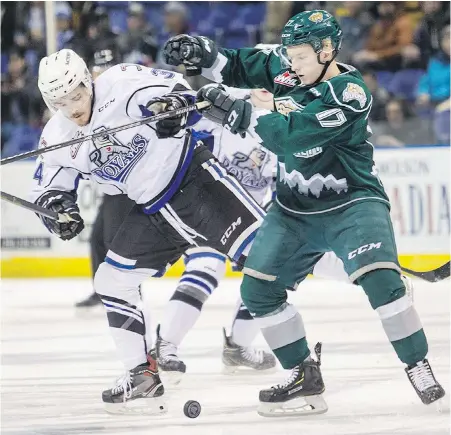  ?? DARREN STONE, TIMES COLONIST ?? Royals forward Kaid Oliver and Everett Silvertips’ Jackson Berezowski fight for a loose puck in WHL action at Save-on-Foods Memorial Centre on Saturday.