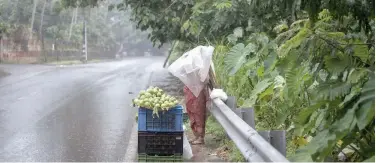  ?? Associated Press ?? ↑
A woman sells guavas by a roadside as it rains in Kochi on Thursday.