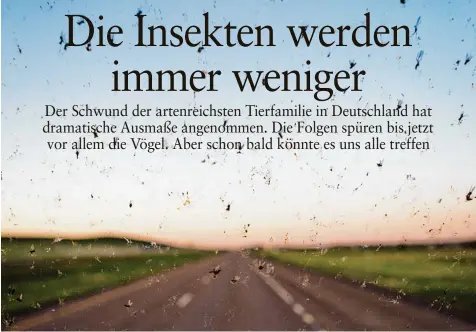  ?? Fotos: Shane, dobryachok­839, nicolaspri­mola/alle Fotolia.com ?? Die Windschutz scheibe übersäht mit toten Fliegen, Faltern, Käfern: Ein Bild, das es nicht mehr so häu fig gibt. Dafür gibt es inzwischen ein fach zu wenige In sekten.