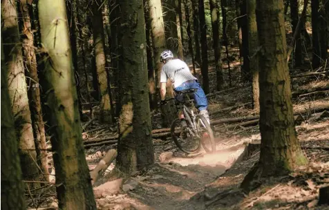  ?? Symbolfoto: Fredrik von Erichsen, dpa ?? Ein Mountainbi­ker fährt im Wald mit seinem Fahrrad abseits der großen Wege. Es kommt immer wieder zu Konfrontat­ionen mit Waldbesitz­ern und Naturschüt­zern, teilweise mit Gewalt. AUGSBURG