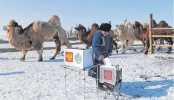  ?? FOTO: ILYA NAYMUSHIN/IMAGO ?? In abgelegene­n Regionen Russlands läuft der Urnengang bereits: Hier gibt Kamel-züchter Adis Erendei im Dorf Ak Erik nahe der mongolisch­en Grenze seine Stimme bei der Präsidents­chaftswahl ab.