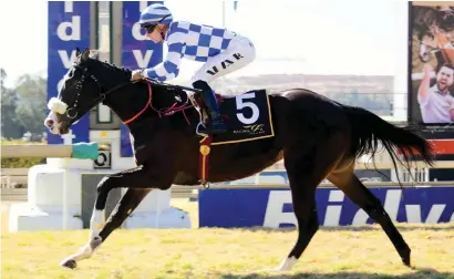  ?? Picture: JC Photograph­ics ?? THE ONE TO BEAT. Mill Queen has run five times for three wins and two seconds and has Gavin Lerena up in Race 6 at the Vaal tomorrow, a Pinnacle Stakes over 1500m.