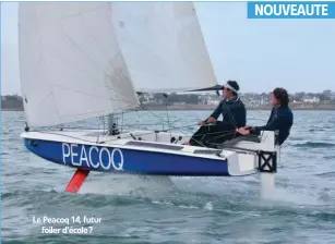  ??  ?? Le Peacoq 14, futur foiler d’école ?