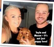  ??  ?? Tayla and Mason – it’s not just puppy love!