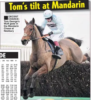  ??  ?? DECENT CHANCE: Tom George’s Wuff goes in the Mandarin Chase at Newbury