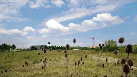  ?? Foto: Michael Hochgemuth ?? Der umstritten­e Neubau von Wohnungen auf der Flugplatzh­eide wird zwar kommen, der Freistaat ändert aber seine ursprüngli­chen Pläne: Die Wohnungen sollen nun teilweise größer werden. Da die überbaute Fläche die selbe bleibt, werden in dem Neubau weniger...