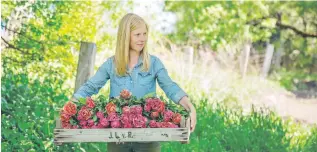  ??  ?? ASHLEY SLESSOR PHOTOGRAPH­Y Melanie Harrington with a colourful harvest at her property, Dahlia May Flower Farms, in Trenton