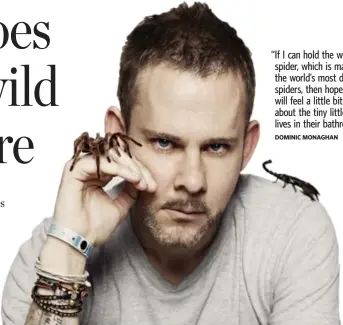  ?? DOMINIC MONAGHAN ?? “If I can hold the world’s largest spider, which is maybe one of the world’s most dangerous spiders, then hopefully, people will feel a little bit differentl­y about the tiny little spider that lives in their bathroom.”