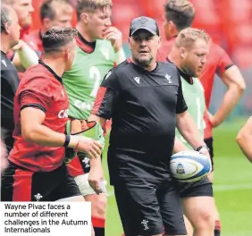  ??  ?? Wayne Pivac faces a number of different challenges in the Autumn Internatio­nals