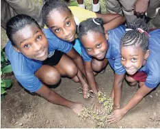  ?? FILE ?? From left: Shantae James, Daedre McLeod, Emily Walcott and Sherud Bailey participat­ing in National Tree Planting Day, an exercise at the Independen­ce City Primary School in Portmore, St Catherine.