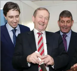  ??  ?? Minister Simon Harris, Taoiseach Enda Kenny and Minister of State Andrew Doyle during a visit by the Taoiseach to Newmarket Kitchen in Bray in February 2016.