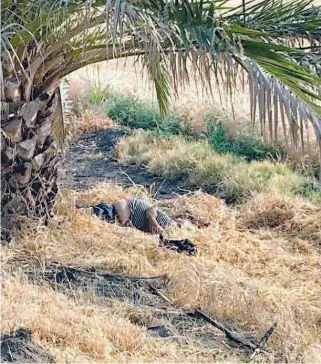  ?? FOTO/CORTESÍA ?? El cuerpo se encontraba a un costado del camino.