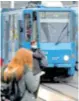  ?? ?? Zagrepčani nemaju razloga u petak trinaestog­a izbjegavat­i vožnju tramvajem broj trinaest