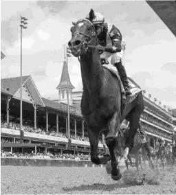  ?? DEBRA A. ROMA ?? Olympiad is undefeated this year in four starts, including the Alysheba (above). His combined win margin is 14 lengths.