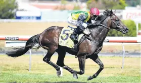  ?? PHOTO: RACE IMAGES PETER RUBERY ?? Silver linings . . . Eagle Farm, the new setting for the Doomben Cup, should suit The Chosen One, trainer Andrew Forsman says.