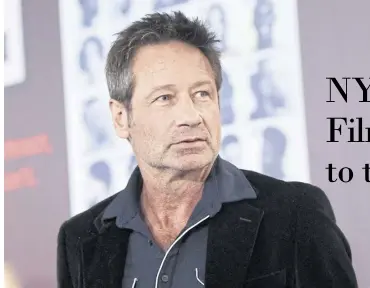  ?? David Duchovny. ??