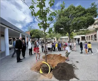 ?? (Photo E. M.) ?? En tout, neuf arbres ont été plantés entre l’école primaire et la maternelle.