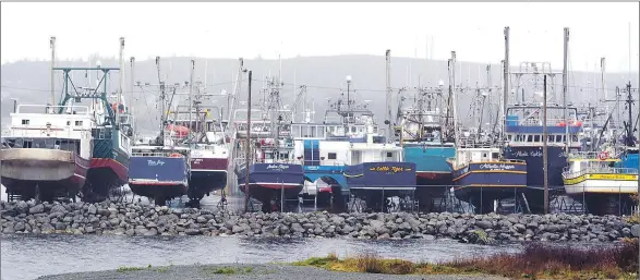  ?? — Photo by Ashley Fitzpatric­k/The Telegram ?? Fishing boats sit on trestles in the Fermeuse marina earlier this week.