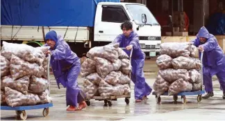  ?? Photo by Jean Cortes ?? NO LET UP. Laborers at the La Trinidad Trading Post continue work despite the bad weather hampering the delivery of vegetables from the farm to the market.