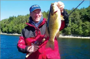  ?? PHOTO COURTESY OF BRAD WIEGMANN ?? A beautiful bronze color gives the smallmouth bass its common nickname of bronzeback. This nice Arkansas smallie was caught by Brad Wiegmann of Springdale.