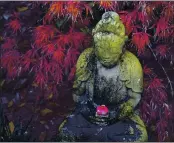  ??  ?? An antique Buddha statue with a floral offering is surrounded by a Japanese maple tree at Lotusland on Nov. 23 in Montecito.