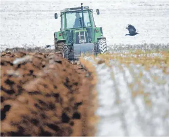  ?? FOTO: DPA ?? Ein Landwirt pflügt den Boden eines mit Schnee bedeckten Feldes bei Inneringen im Landkreis Sigmaringe­n: 300 Bauern im Südwesten haben bislang staatliche Hilfe wegen der anhaltende­n Trockenhei­t im Sommer beantragt.