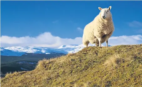  ?? Picture: Getty. ?? The research is the Scottish Land Commission’s first major piece of work.