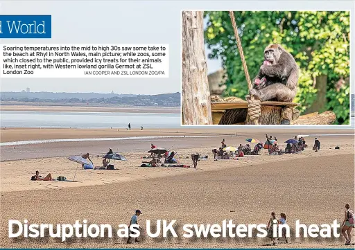  ?? IAN COOPER AND ZSL LONDON ZOO/PA ?? Soaring temperatur­es into the mid to high 30s saw some take to the beach at Rhyl in North Wales, main picture; while zoos, some which closed to the public, provided icy treats for their animals like, inset right, with Western lowland gorilla Germot at ZSL London Zoo