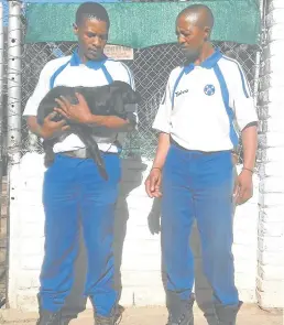  ?? Picture: BHONGO JACOB ?? SAFE REFUGE: Members of the SPCA Batandwa Mendu, left, and Raymond Mzilikazi with one of the stray dogs that were rescued this week