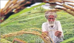  ?? HT FILE PHOTO ?? Waiver restricted to farmers with a landholdin­g of up to 5 acres.